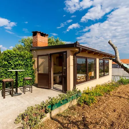 Sandra Πανσιόν